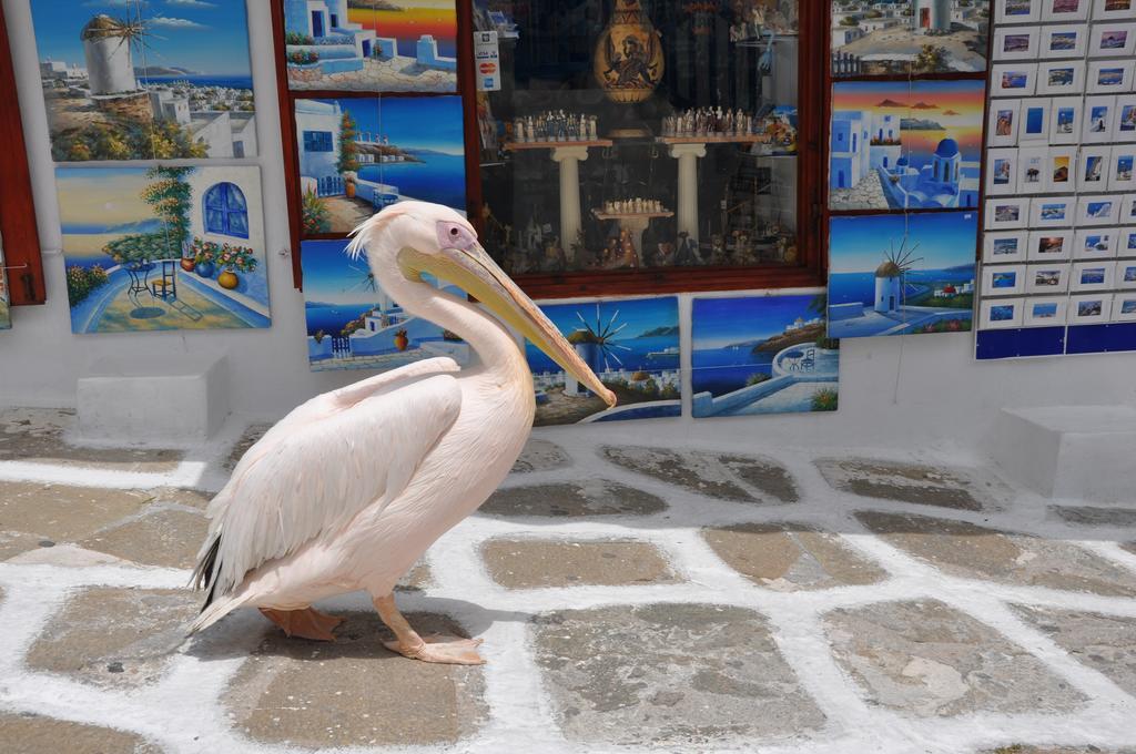דירות Mykonos Town Bleland Mykonos מראה חיצוני תמונה
